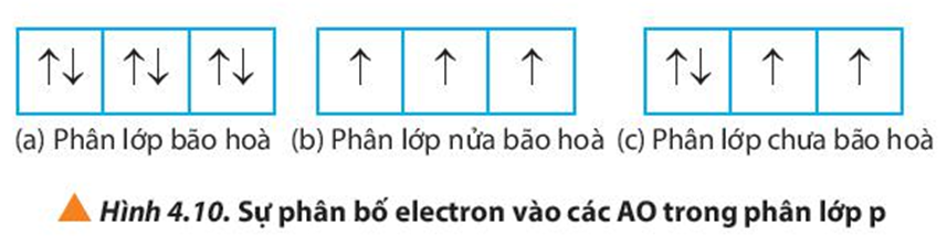 Quan sát Hình 4.10, hãy nhận xét số lượng electron độc thân ở mỗi  (ảnh 1)