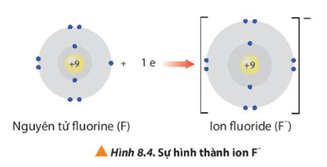 Ion sodium và ion fluoride có cấu hình electron của các khi hiếm tương ứng nào? (ảnh 3)