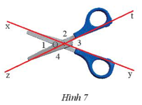 Qua điểm O là chốt xoay của một cái kéo, kẻ hai đường thẳng xOy (ảnh 1)