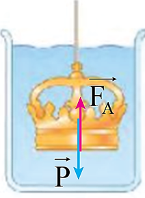 Hãy vẽ vectơ lực đẩy Archimedes tác dụng lên vương miện trong hình 11.15. (ảnh 2)