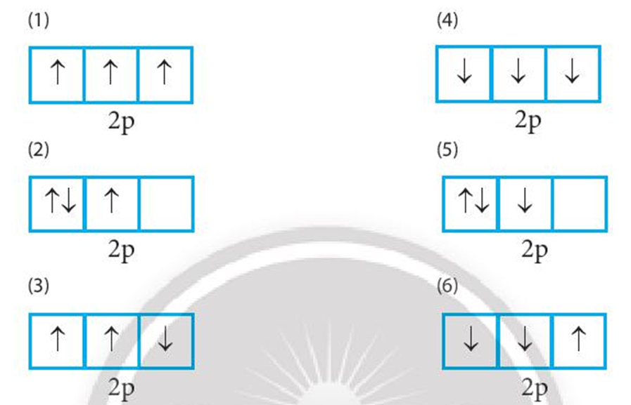 Trong các cách biểu diễn electron vào các orbital của phân lớp 2p ở trạng thái (ảnh 1)
