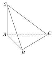 Cho hình chóp S.ABC có SA vuông góc với mặt phẳng (ABC}  (ảnh 1)