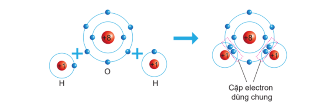 Giải thích sự hình thành liên kết trong phân tử H2O bằng cách áp dụng quy tắc octet. (ảnh 1)