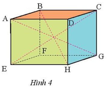 Quan sát hình hộp chữ nhật ABCD.EFGH (Hình 4) và thực hiện các yêu cầu (ảnh 1)
