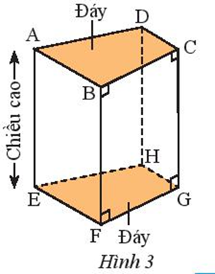 Quan sát hình lăng trụ đứng tứ giác trong Hình 3. (ảnh 1)