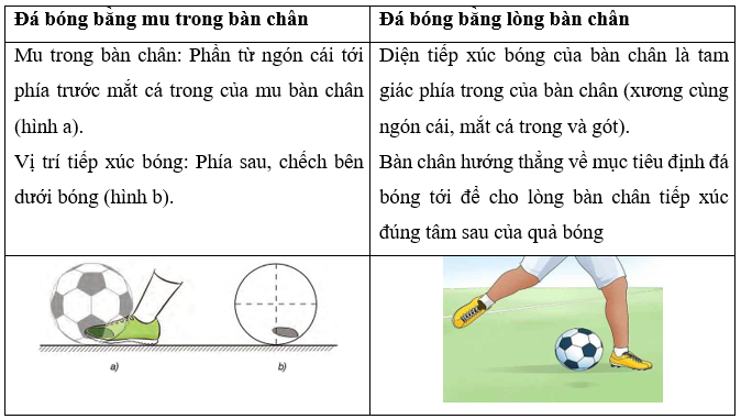 Em hãy phân biệt sự khác nhau về điểm tiếp xúc giữa bóng và bàn chân (ảnh 1)