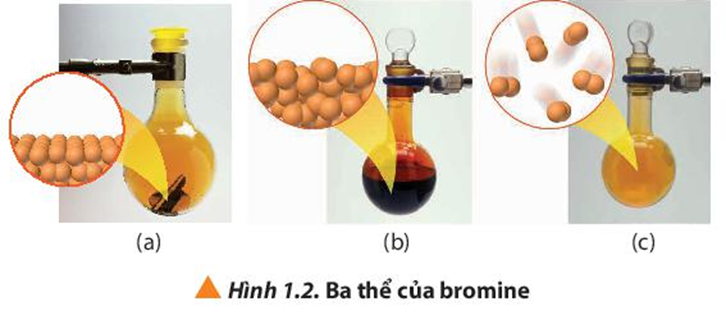 Quan sát Hình 1.2, cho biết ba thể của bromine tương ứng với mỗi hình (a), (b) và (c).  (ảnh 1)