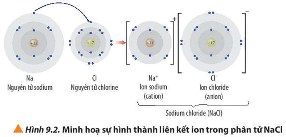 Quan sát Hình 9.2, hãy trình bày sự hình thành liên kết ion trong phân tử  (ảnh 1)