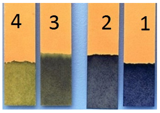 Sau khi nhúng lần lượt từng giấy chỉ thị pH (có sự chuyển màu tương tự như quỳ tím)  (ảnh 1)