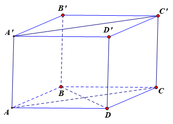 Cho hình lập phương ABCD.A'B'C'D' có cạnh bằng a. Khi đó góc giữa A'C' và BD bằng (ảnh 1)
