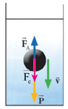 Quan sát hình 12.1, vẽ vectơ lực cản của dầu tác dụng lên viên bi và mô tả chuyển động của viên bi khi được thả không vận tốc đầu vào dầu. (ảnh 2)