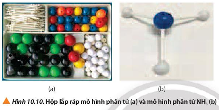 Trình bày các bước trong quá trình lắp ráp mô hình phân tử NH3. (ảnh 2)