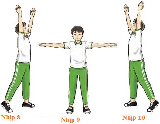 Em hãy sử dụng bài tập thể dục liên hoàn từ nhịp 1 – 10 để tập thể dục  (ảnh 3)