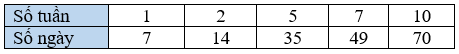 Điền số thích hợp vào dấu hỏi: Số tuần 1 2 5 7 10 (ảnh 2)