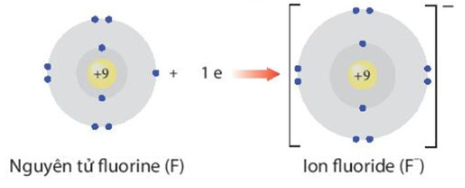 Giải thích sự hình thành ion Na+ và ion F- (ảnh 2)