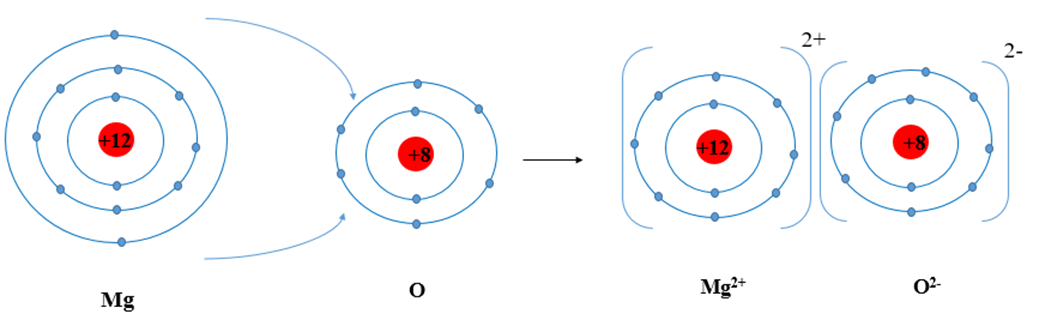 Trình bày sự hình thành liên kết ion trong phân tử MgO khi magnesium tác dụng  (ảnh 1)