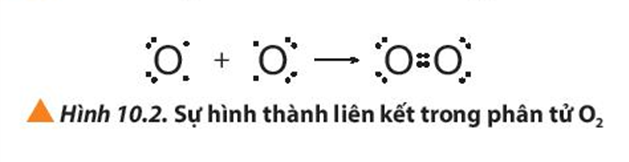 Giải thích sự hình thành liên kết trong các phân tử HCl, O2 và N2. (ảnh 2)