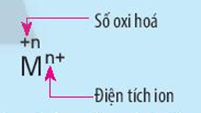 Nêu điểm khác nhau giữa kí hiệu oxi hóa và kí hiệu điện tích của ion M trong  (ảnh 1)