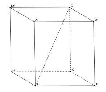 Cho hình hộp ABCD.A'B'C'D'. Mệnh đề nào sai trong các mệnh đề sau? (ảnh 1)