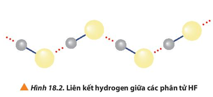 Quan sát Hình 18.2, giải thích nhiệt độ sôi cao bất thường của hydrogen  (ảnh 1)