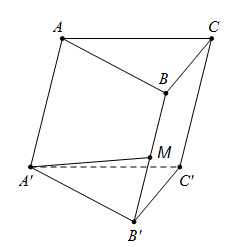 Cho hình lăng trụ ABC.A'B'C', M là trung điểm của BB'. Đặt CA→=a→,CB→=b→,AA'→=c→ . Khẳng định nào sau đây đúng? (ảnh 1)