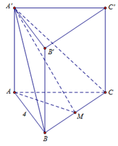 Cho hình lăng trụ đều abc.a'b'c'  có cạnh đáy a = 4  , biết diện tích tam giác a'bc bằng 8 (ảnh 1)