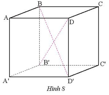 Quan sát hình lập phương ABCD.A’B’C’D’ có AB = 5 cm (Hình 8). (ảnh 1)