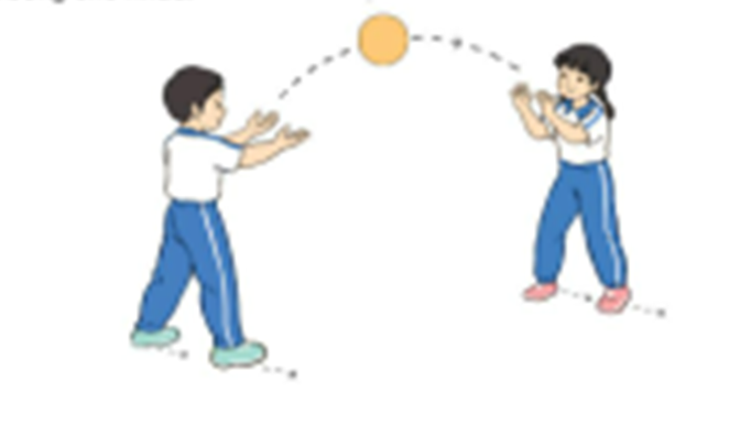2. Di chuyển tung – bắt bóng bằng hai tay theo cặp (ảnh 1)