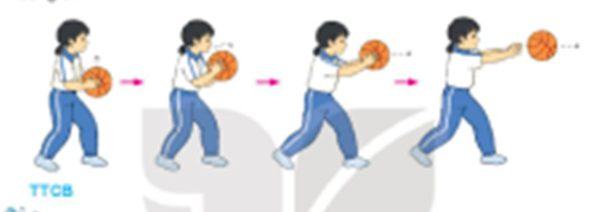 1. Động tác chuyền bóng bằng hai tay trước ngực (ảnh 1)