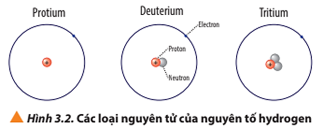 Quan sát Hình 3.2, so sánh điểm giống và khác nhau giữa các loại nguyên tử  (ảnh 1)