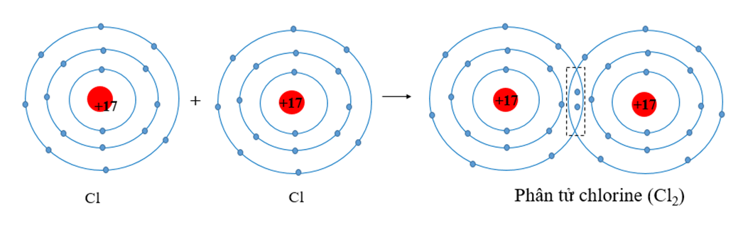 Sử dụng sơ đồ tương tự như Hình 8.1, hãy giải thích sự tạo thành phân tử  (ảnh 1)