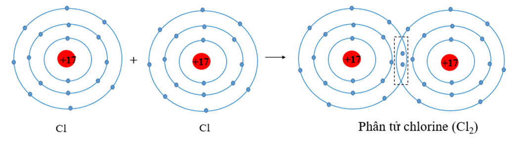 Trình bày sự hình thành liên kết cộng hóa trị trong phân tử Cl2. (ảnh 1)