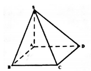 Cho khối chóp S.ABCD có đáy là hình vuông cạnh 2a cạnh bên SA vuông góc  (ảnh 1)