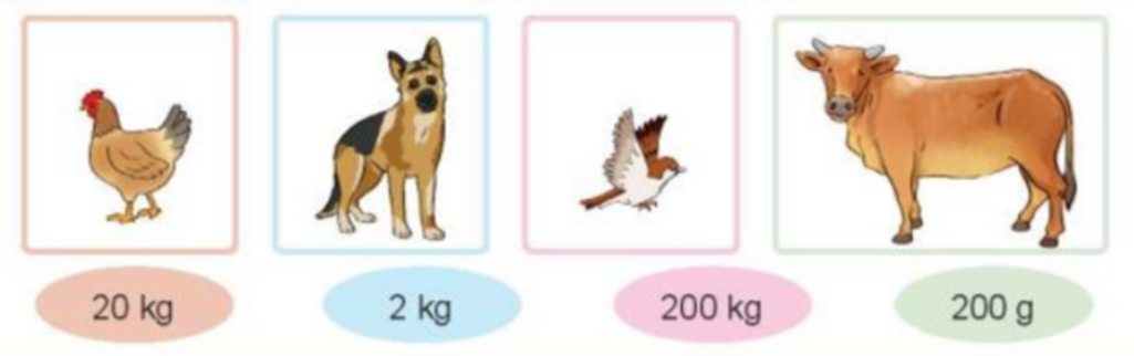 Chọn số cân nặng thích hợp với mỗi con vật: (ảnh 1)