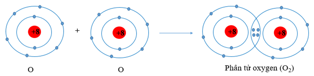 Sử dụng sơ đồ tương tự như Hình 8.1, hãy giải thích sự tạo thành phân tử  (ảnh 2)