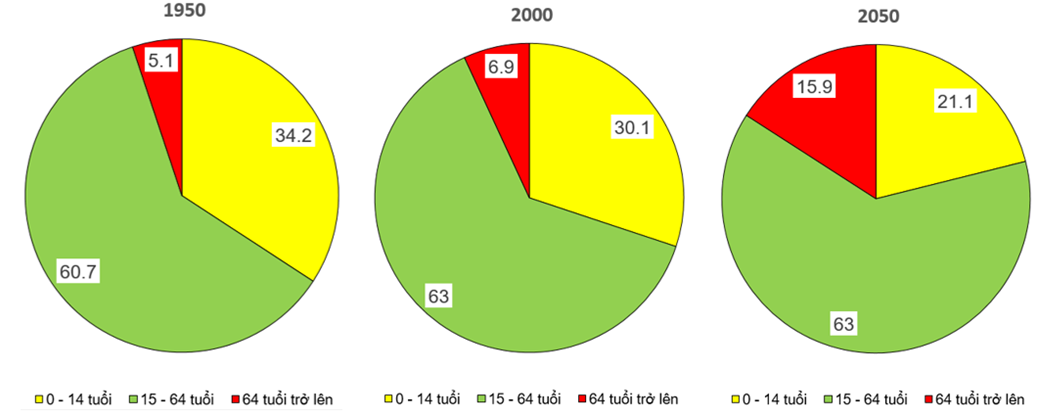 Cho bảng số liệu: - Hãy tính tỉ lệ dân số thế giới theo từng độ tuổi năm 1950, năm 2000 và năm 2050.  - Vẽ biểu đồ thể hiện cơ cấu dân số theo nhóm tuổi của thế giới năm 1950, năm 2000 và năm 2050.  - Nhận xét về sự biến đổi cơ cấu dân số thế giới theo tuổi giai đoạn 1950 - 2050. (ảnh 3)
