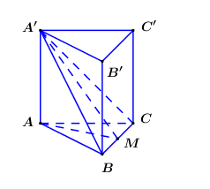 Cho hình lăng trụ đứng ABC.A'B'C' có đáy ABC là tam giác đều cạnh a. Biết diện (ảnh 1)