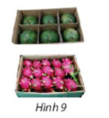 Một thùng chứa 6 quả dưa hấu, một thùng khác chứa 15 quả thanh long. Từ hai thùng (ảnh 1)