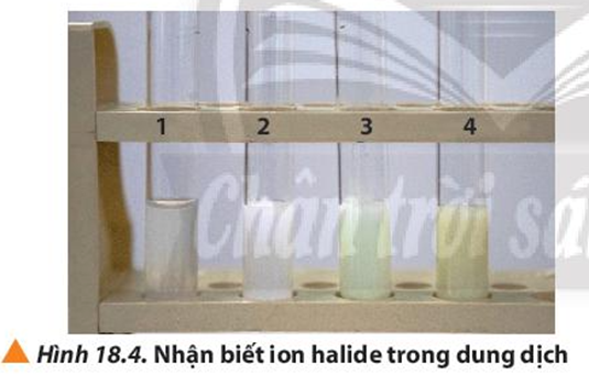 Tiến hành thí nghiệm và quan sát hiện tượng. Dựa vào phương trình (ảnh 1)