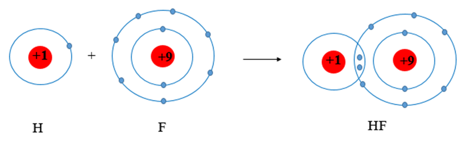 Nguyên tử của các nguyên tố hydrogen và fluorine có xu hướng cho đi, nhận thêm (ảnh 1)