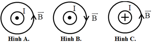 Trong các hình vẽ sau, hình vẽ nào biểu diễn đúng hướng của đường cảm ứng  (ảnh 1)