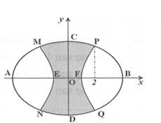 Vườn hoa của một trường học có hình dạng được giới hạn bởi một đường elip có bốn đỉnh A, B, C, D và hai đường parabol có các đỉnh lần lượt là E, F (phần tô đậm của hình vẽ bên). Hai đường parabol có cùng trục đối xứng AB, đối xứng nhau qua trục CD, hai parabol cắt elip tại các điểm M, N, P, Q. Biết AB=8m, CD=6m , MN=PQ= 3 căn3 m  , EF=2m . Chi phí để trồng hoa trên vườn là 300.000 đ/ m^2 . Hỏi số tiền trồng hoa cho cả vườn gần nhất với số tiền nào dưới đây?  (ảnh 2)