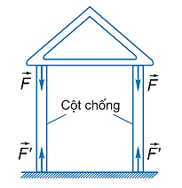 Em hãy cho biết loại biến dạng trong mỗi trường hợp sau: a) Cột chịu lực trong tòa nhà. b) Cánh cung khi kéo dây cung. (ảnh 1)