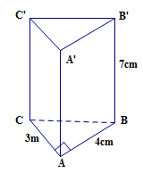 Cho hình lăng trụ đứng ABC.A’B’C’ (như hình vẽ). Tính diện tích xung quanh của hình lăng trụ. Biết CA = 3 cm, AB = 4 cm, BB’ = 7 cm. (ảnh 2)