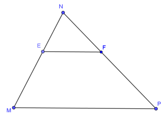 Cho  tam giác MNP, EF//MP, E thuộc MN , F thuộc NP ta có: (ảnh 1)