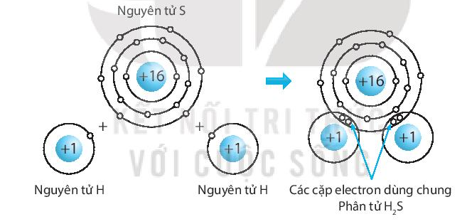 Sự hình thành liên kết cho nhận trong phân tử SO2