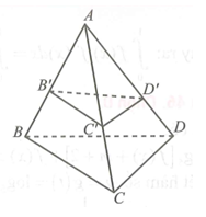 Trong không gian Oxyz, cho tứ diện ABCD có tọa độ các điểm A(1;1;1) ,B(2;0;2)  ,C(-1;-1;0)  , D(0;3;4) . Trên các cạnh AB, AC, AD lần lượt lấy các điểm  B', C' , D'  sao cho AB/AB'+AC/AC'+AD/AD'=4  và tứ diện AB'C'D'  có thế tích nhỏ nhất. Phương trình mặt phẳng (B'C'D')  là (ảnh 1)