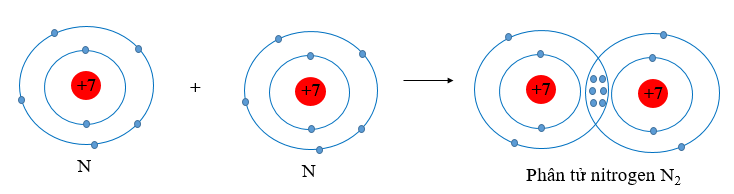 Liên kết giữa hai nguyên tử N trong phân tử N2 có số cặp electron chung là A. 1 B. 2 C. 3 D. 4 (ảnh 1)