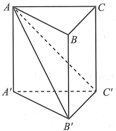 Cho khối lăng trụ ABC.A’B’C’ có thể tích bằng V. Tính thể tích khối đa diện ABCB’C’. (ảnh 1)