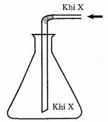 Trong phòng thí nghiệm, khí X được điều chế và thu vào bình tam giác như hình vẽ bên (ảnh 1)